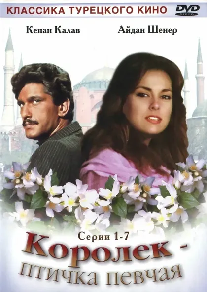 Эшреф Колчак